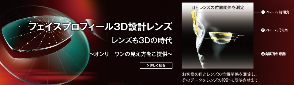 フェイスプロフィール3Dレンズ