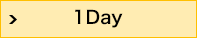 1Day（1日使い捨てタイプ）
