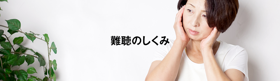 難聴のしくみ