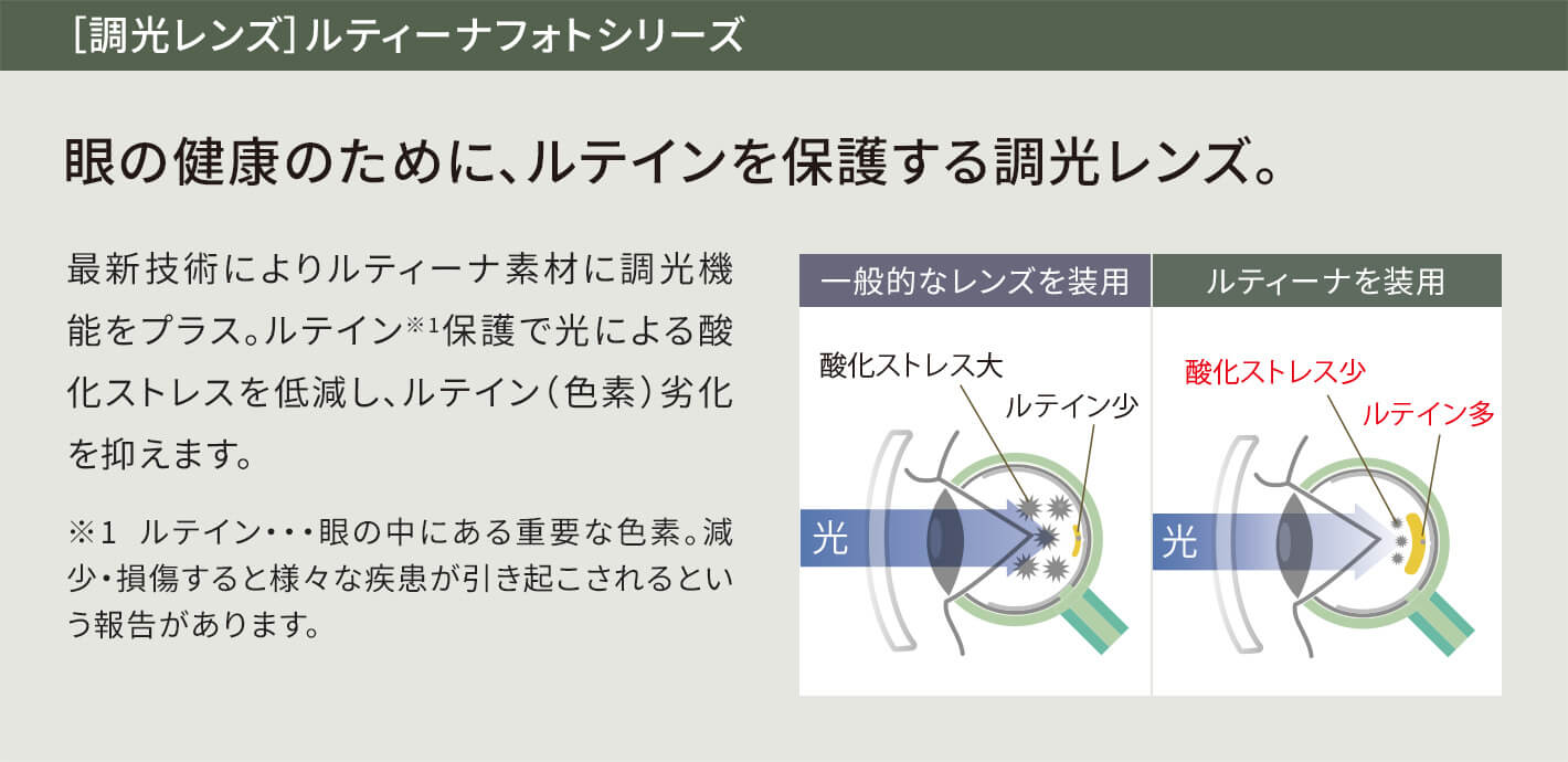 ［調光レンズ］ルティーナフォトシリーズ 眼の健康のために、ルテインを保護する調光レンズ。 最新技術によりルティーナ素材に調光機能をプラス。ルテイン※1保護で光による酸化ストレスを低減し、ルテイン（色素）劣化を抑えます。※1  ルテイン・・・眼の中にある重要な色素。減少・損傷すると様々な疾患が引き起こされるという報告があります。