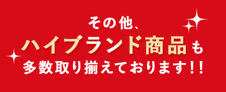 その他、ハイブランド商品も多数取り揃えております！！